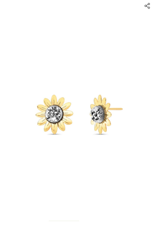 JARDIM EARRING - METALIZED DRUZE - ICONIC DESEJO